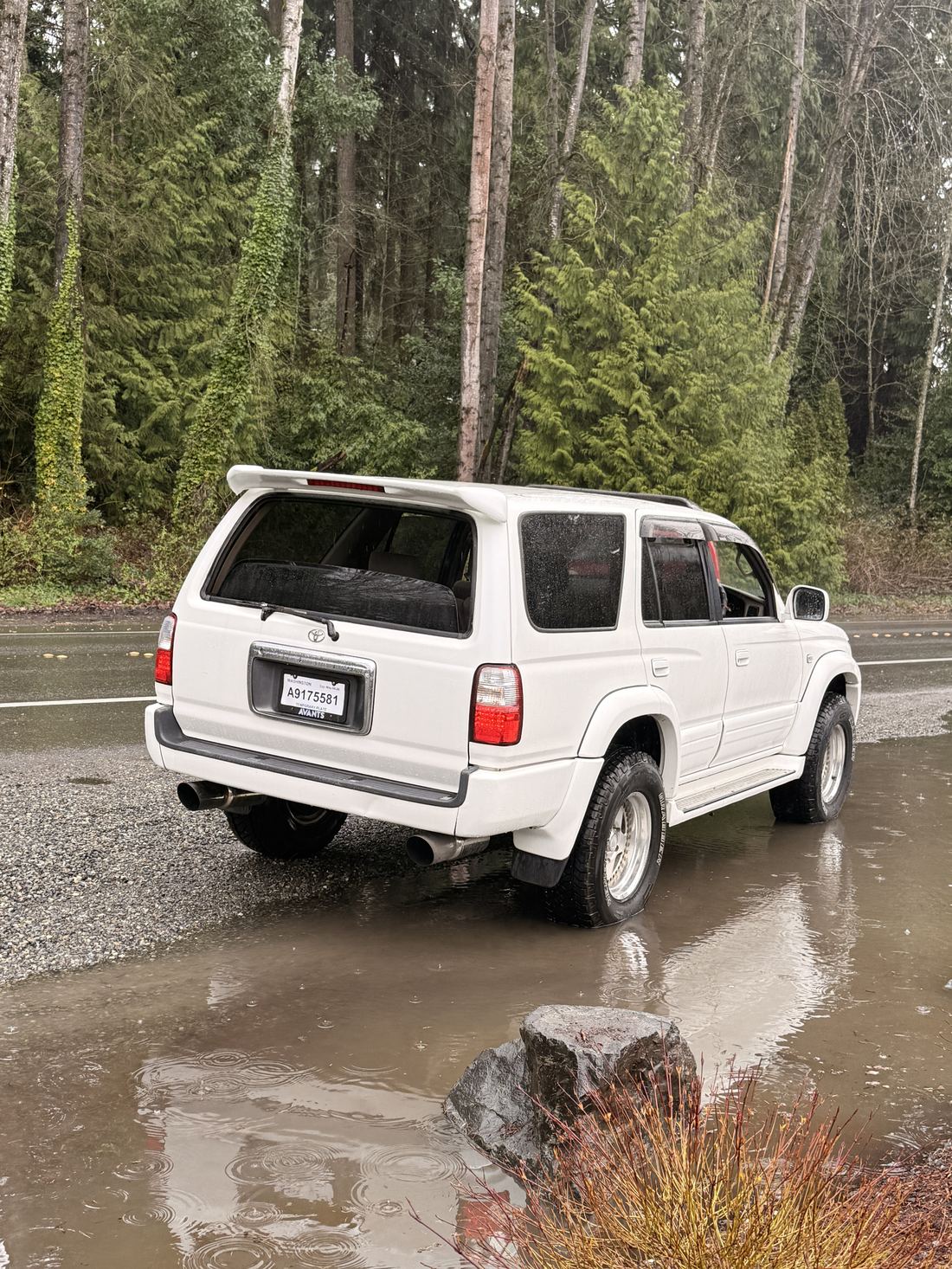 The Surf parked on a wet PNW road, evergreens behind